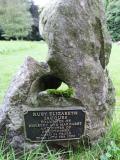 image of grave number 584214